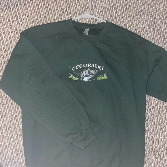 SWEATSHIRT HOODIE CREWNECK PLS READ CAPTION Brandy Melville Nike Abercrombie ZAR - Picture 2 of 16